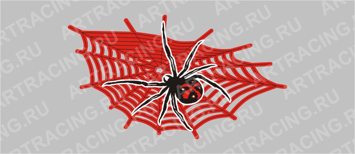 наклейка средняя "Паук на паутине"