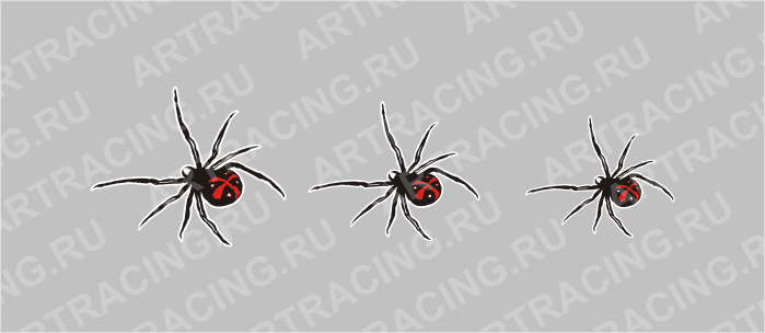 наклейка средняя "Пауки", 3 штуки
