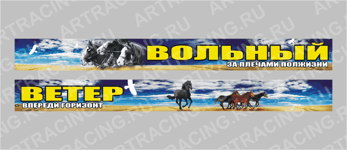 наклейка на лобовое стекло грузового автомобиля, 2шт*1м ("Вольный ветер" ), полноцвет