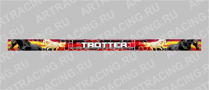наклейка на лобовое стекло грузового автомобиля, 2шт*1м ("TROTTER" ), полноцвет