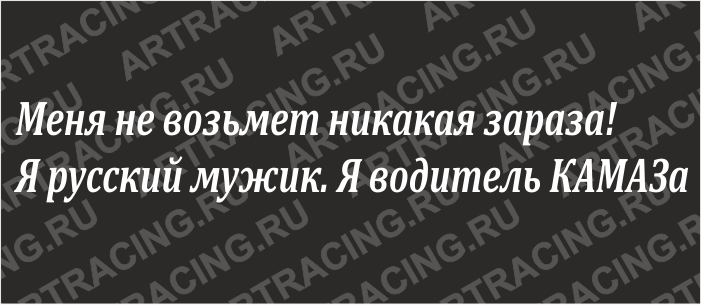 наклейка (плоттер) "Меня не возьмет никакая зараза!Я русский мужик. Я водитель КАМАЗа",600*100, бел.