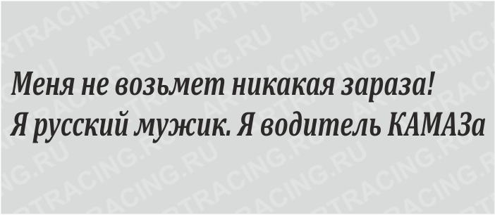 наклейка (плоттер) "Меня не возьмет никакая зараза!Я русский мужик. Я водитель КАМАЗа",600*100, черн
