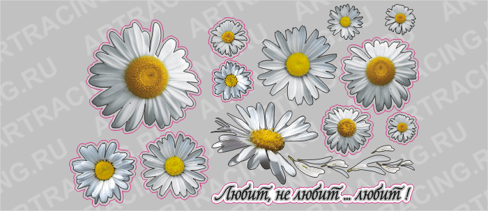 наклейка "Набор ромашек" (Любит, не любит...), 250х350мм, Арт рэйсинг