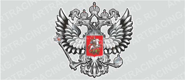 наклейка "Герб России", вид №2 (серебро), 250х250мм, Арт рэйсинг