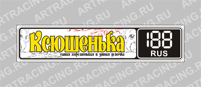 Госномер именной "Ксюшенька"