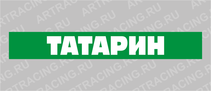 полоса на лобовое стекло 1600х170мм "ТАТАРИН", черная, Арт рэйсинг