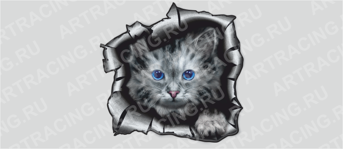 Наклейка "Разлом (Кошка)", 375*375