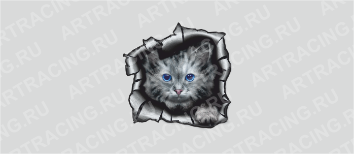 Наклейка "Разлом (Кошка)", 250*250