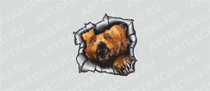 Наклейка "Разлом (Медведь)", 250*250