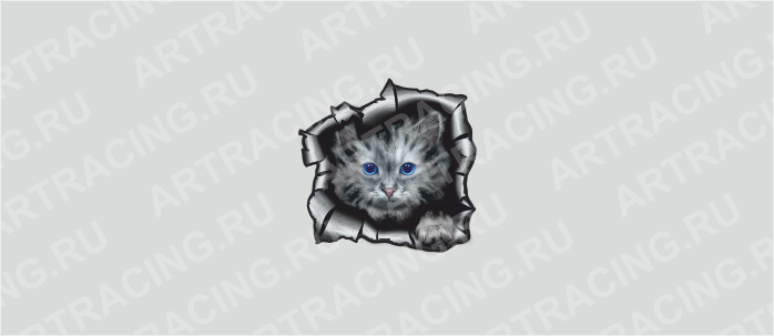 Наклейка "Разлом (Кошка)", 150*150