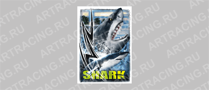 портрет звери цветные "SHARK", средний