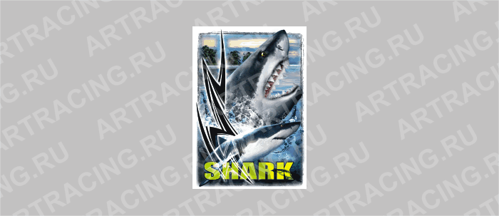портрет звери цветные "SHARK", малый