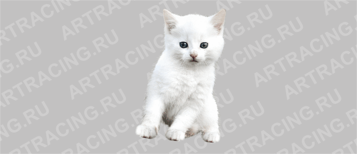 наклейка цветная "Кошка", малая ( вид № 2)