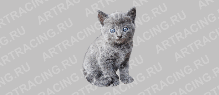 наклейка цветная "Кошка", малая ( вид № 3)