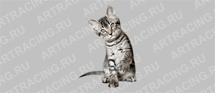наклейка цветная "Кошка", малая ( вид № 4)