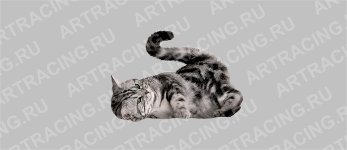 наклейка цветная "Кошка", малая ( вид № 5)